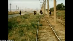 господа вы звери, вы звери господа