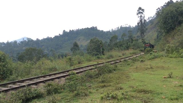 Тепловоз М6-794 с грузопассажирским поездом Бадулла - Канди. Перегон Демодара - Элла. 07.11.2016 смотреть онлайн