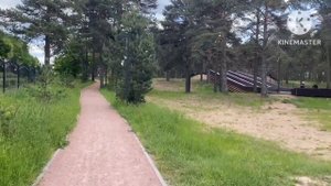 Поселок Сясьстрой,Ленинградская область ,8 июня 2023 г.