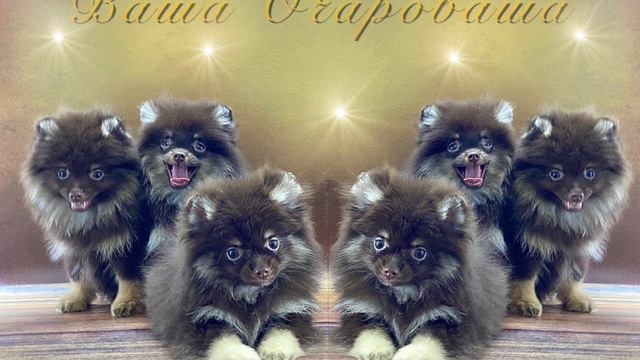 От Марьяши