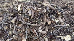 Измельчитель веток для трактора! КОЗАК - дробилка веток под ВОМ - полный комплект