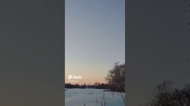 с новым годом ?? ??☃️☃️.mp4