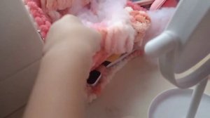 фотосессия и квест на хеллоуин /// уточка лалафанфан /// сиба-ину лалафанфан /// уто4ка lalaфanфan