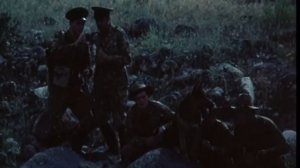 Нейтральная полоса