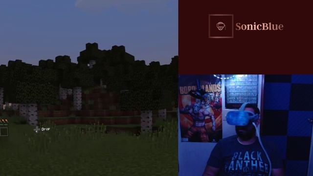 Free Minecraft VR on Oculus Go & Oculus Quest смотреть онлайн