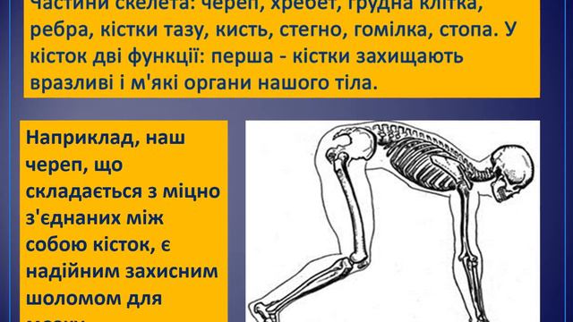 Тіло людини. Скелет людини. ЧОМУ ЛЮДИНА РУХАЄТЬСЯ смотреть онлайн