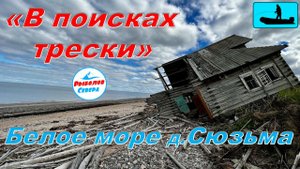 ✅ «В ПОИСКАХ ТРЕСКИ» Белое море 2022 мыс Малинник д.Сюзьма #рыболов_севера