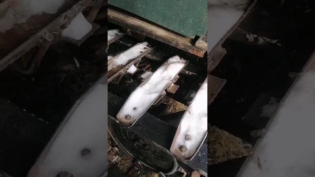 Самодельный вездеход на гусеницах. Михалычу 70 лет и он не сидит на месте?#самоделки #вездеход смотреть онлайн