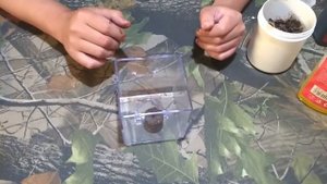 Изготовление макушатника брикета для рыбалки. Тестирование в воде.