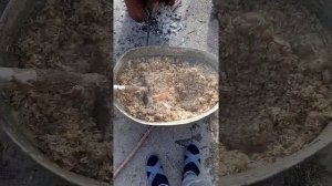 Как правильно кормить гусей индоуток