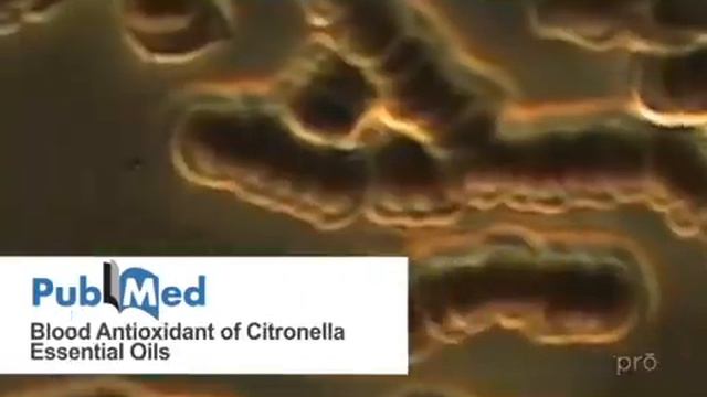 DoTERRA. Базовый обзор продукции DoTERRA смотреть онлайн