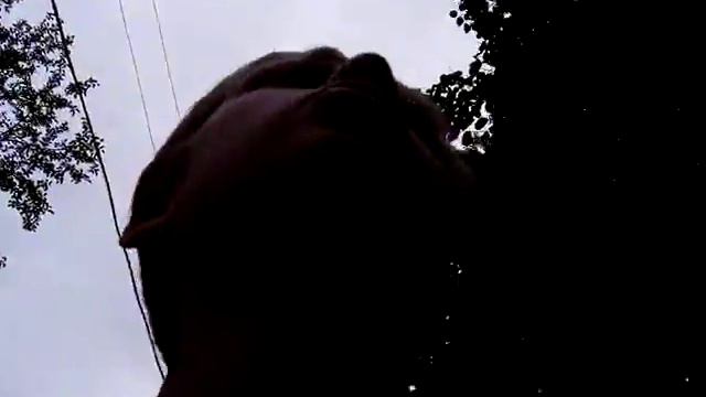 25 больница ждёт нас смотреть онлайн