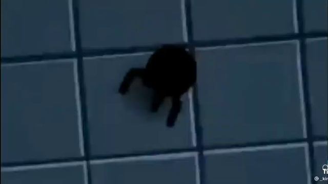 Майнкрафт против всех игр ?⚡? смотреть онлайн