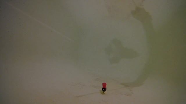 Криль попугайчик 50 мм  проводка  12.18 г.