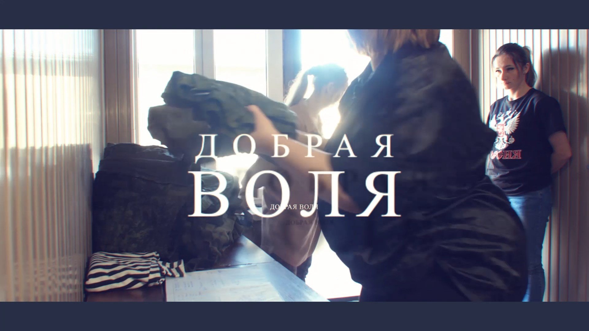 Добрая воля
