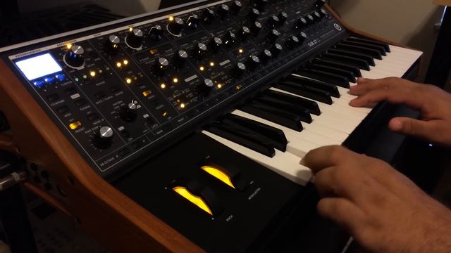 Moog Sub 37 First Test (with Light Show!) смотреть онлайн