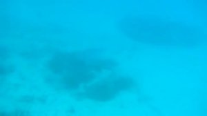 Maldives. South Ari Atol. Nalaguraidhoo. Travelling/ Мальдивы. Южный Ари Атолл. о.Налагурайду