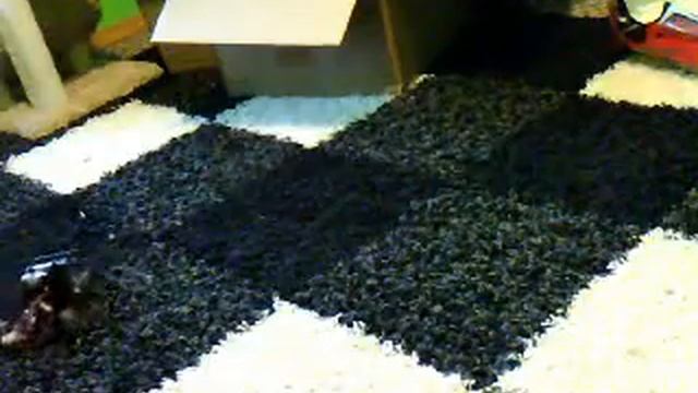 Radcat Raicing Sumo RC 1/24th Scale смотреть онлайн