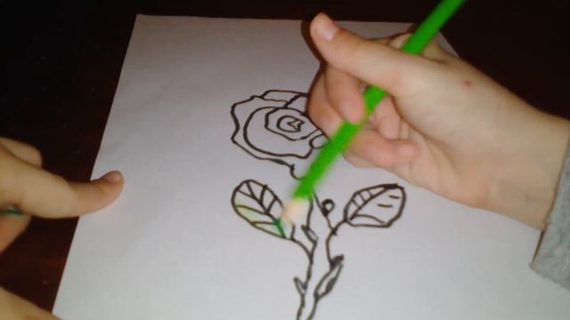 Как нарисовать красивый цветок. смотреть онлайн