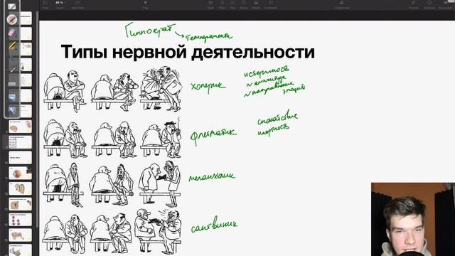 6.42. Темпераменты: сангвиник, холерик, флегматик, меланхолик | Анатомия к ЕГЭ | Георгий Мишуровски