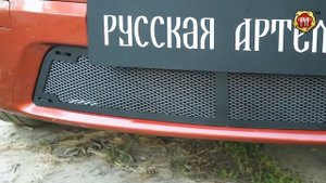Защитная сетка переднего бампера Renault Sandero 2009 2013