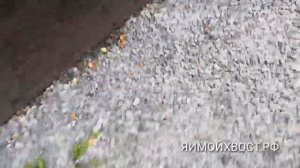 Если собака не хочет идти домой, в вольер и т. Д. ЧТО ДЕЛАТЬ?!