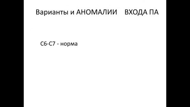 Клиническая и ультразвуковая анатомия брахиоцефальных артерий.  3 ЧАСТЬ