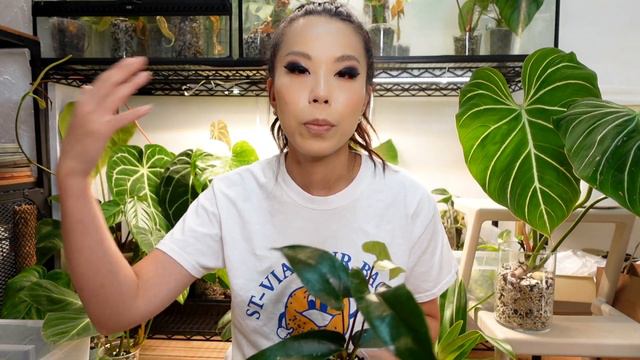 All of the plants I've imported this year: how they're doing now! смотреть онлайн