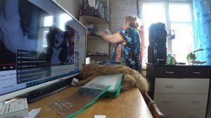 Жизнь в сельской глубинке. Бардак в комнате. Затеяла уборка в комнате. Влог