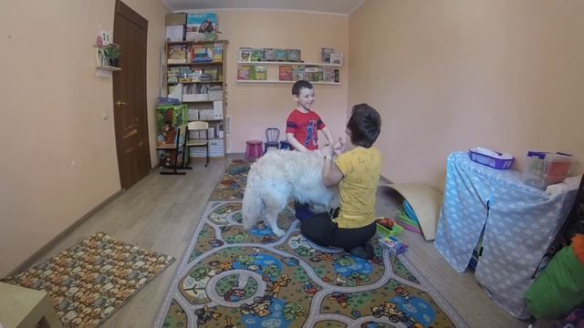 Логопедические занятия с использованием канистерапии