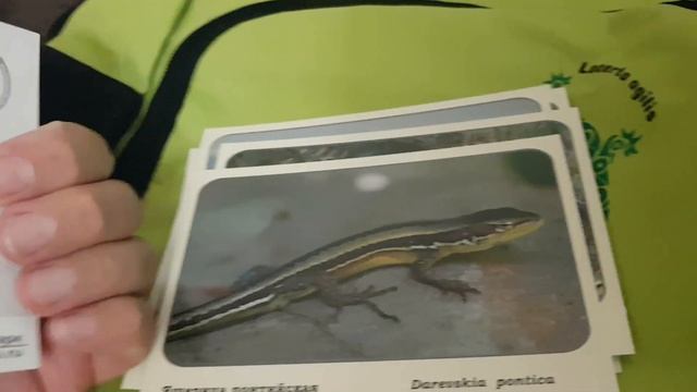 ПРИЗ ЗА ПОБЕДУ В КОНКУРСЕ СОЧИНСКОГО НАЦИОНАЛЬНОГО ПАРКА смотреть онлайн