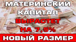 Материнский капитал вырастет на 7,5% в 2024 году Новые размеры капитала