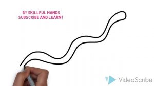 How to Draw a snake (for Kids) / Как нарисовать змею (Для детей)