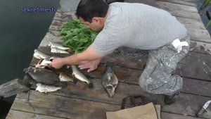 Рыба, как ее сохранить в жару после  рыбалки и подводной охоты