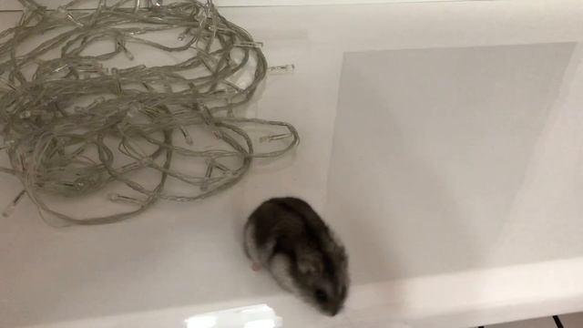 Клип «Остался один...» смотреть онлайн