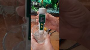 Эксперимент с лимонной водой.