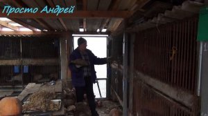 Нутрия выживит без воды или нет