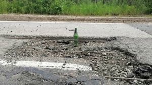 Обращение к ВРИО губернатору Томской обл. В.В. Мазуру, касаемо дороги в с.Александровском.