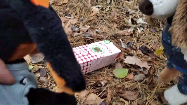 Басики собирают грибы . Пошли одни в лес . смотреть онлайн