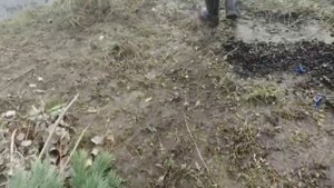 Рыбалка на реке тура и ница, и опять на новом месте.