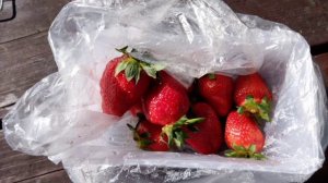 Теплые завтраки в парке «Красная Пахра»: отдыхаем, готовим на мангале, хорошо проводим время