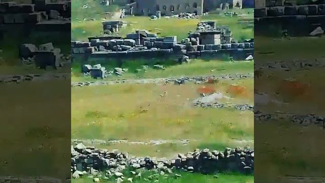 Экскурсия Римский амфитеатр Памукале Турция Экскурсия