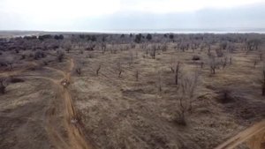 с.Кислово...ул.лесная...