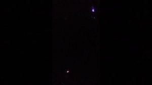 Пою@Бьянк Потап Настя Каменских Стиль собачки