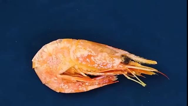 Мега простой способ очистить креветку правильно! смотреть онлайн