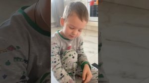 Богомол отложил яйца(оотеку)