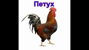голоса домашних животных для малыышей