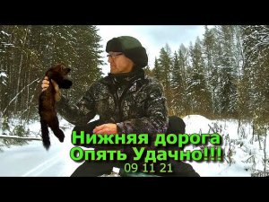 Нижняя дорога Опять Удачно!!! 09 11 21