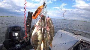 Рыбалка на Веселовском водохранилище. Жадный окунь. Сентябрь 2021. Одинокий репортаж с воды.