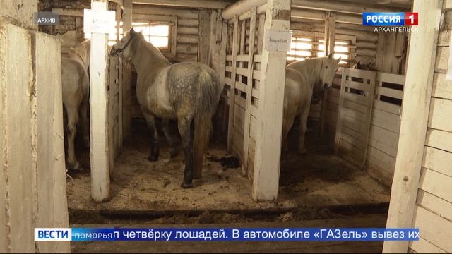 150 тысяч рублей за кражу лошадей смотреть онлайн